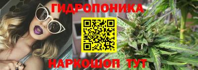 стаф Краснознаменск