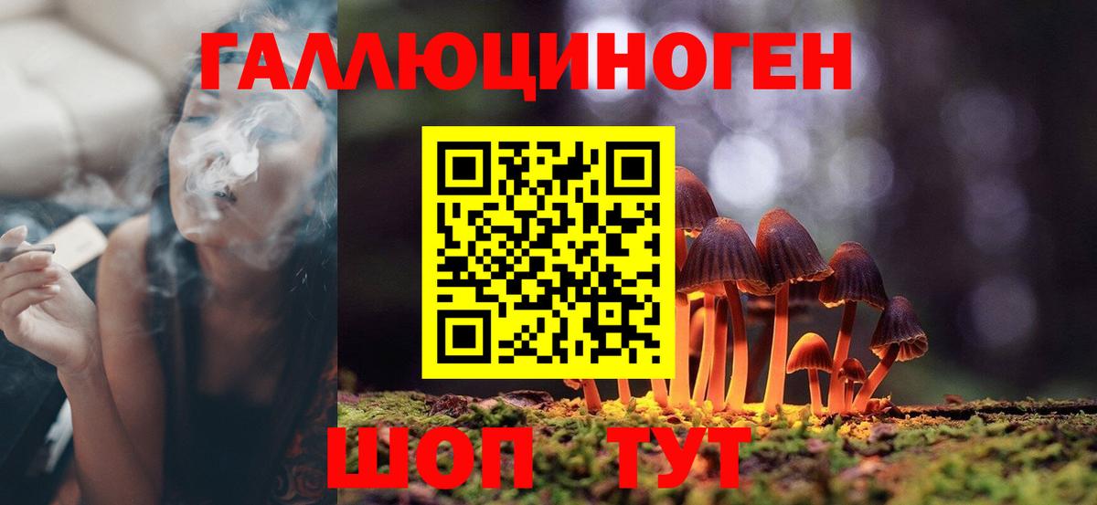 Кизилюрт  купить   Вход с VPN  Псилоцибиновые грибы Magic Shrooms 